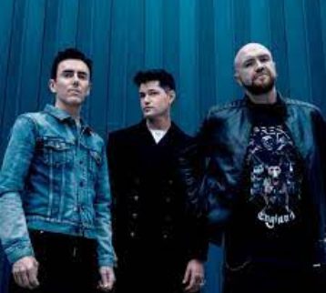 the Script