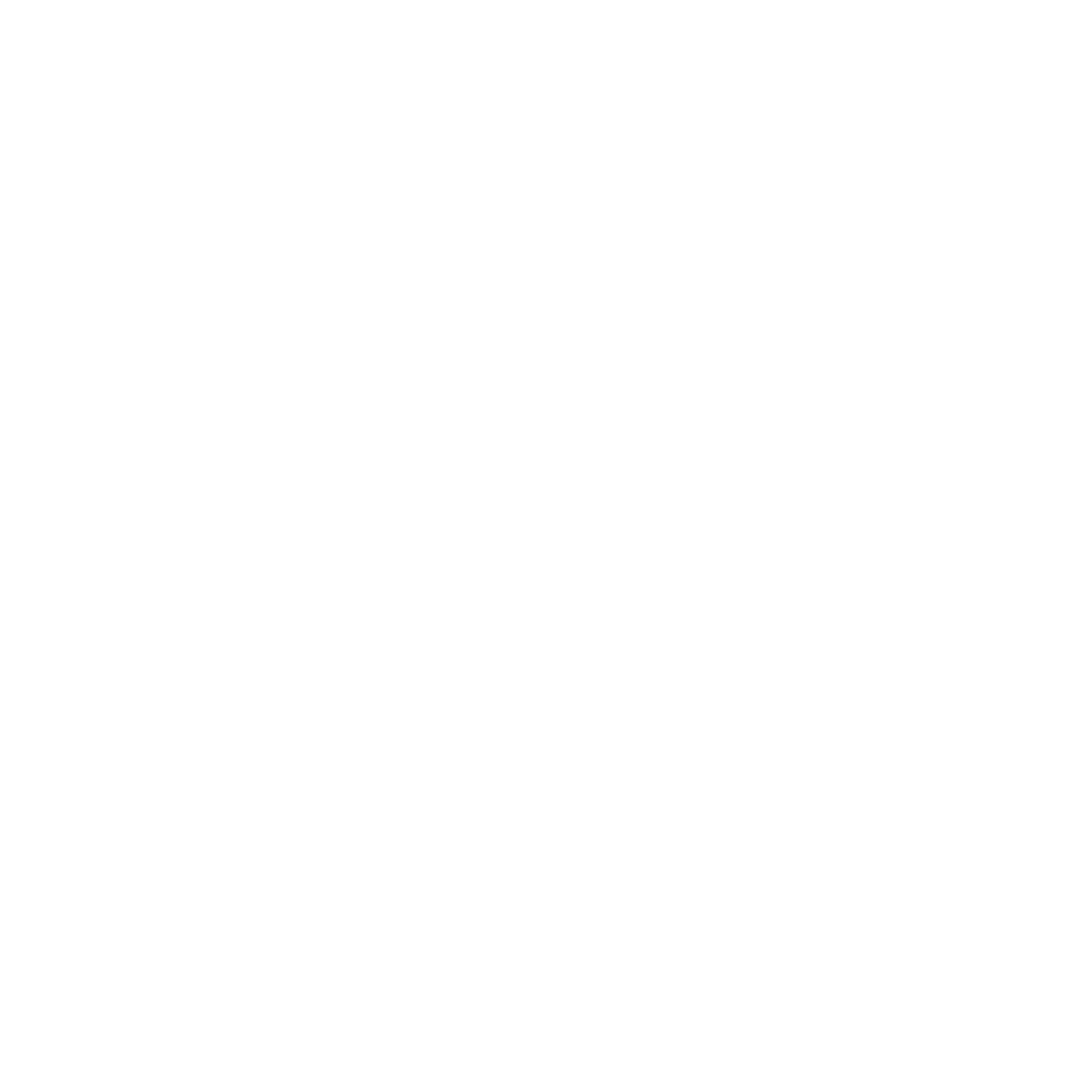 WLRS Logo cmyk